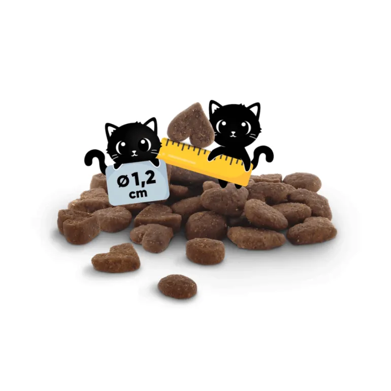 Lucky Lou Adult siipikarja ja kana kissan kuivaruoka 340 g