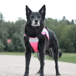 Maike Softshell koiran huomioliivi, pinkki