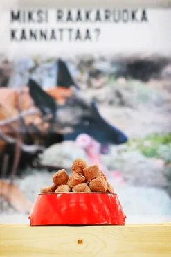 Murren VALMIS Vauhti koiran täysravinto 3 kg