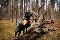 Non-stop dogwear Amundsen koiran reppu
