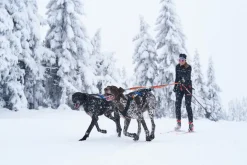 Non-stop dogwear Bungee Leash Double joustotalutin kahdelle koiralle