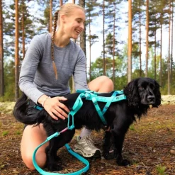 Non-stop dogwear Bungee leash joustotalutin, aqua