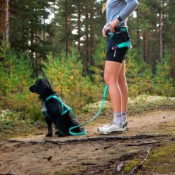Non-stop dogwear Bungee leash joustotalutin, aqua