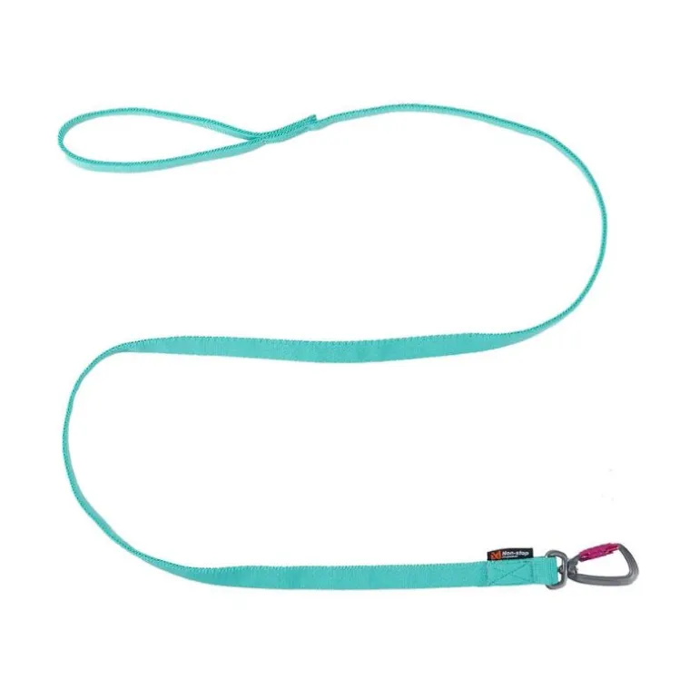 Non-stop dogwear Bungee leash joustotalutin, aqua