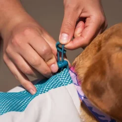 Non-stop dogwear Cooling vest, teal
