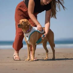 Non-stop dogwear Cooling vest, teal