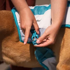 Non-stop dogwear Cooling vest, teal