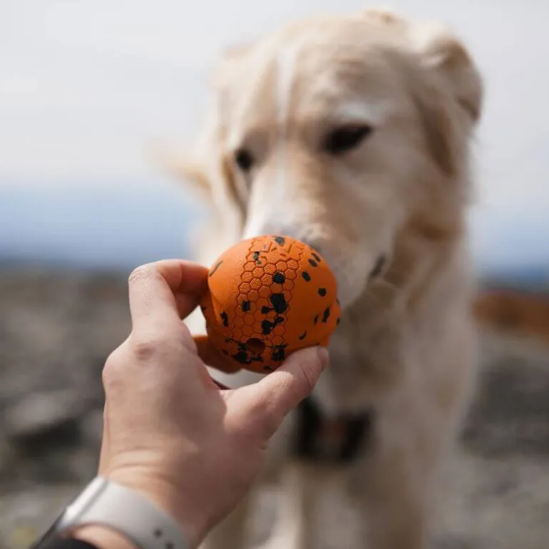 Non-stop dogwear Dog Ball koiran pallo