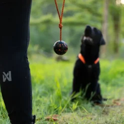 Non-stop dogwear Dog ball on rope narupallo, musta-oranssi