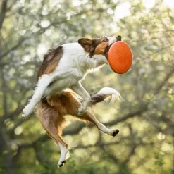 Non-stop dogwear Dog flying disc frisbee, oranssi