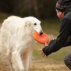Non-stop dogwear Dog flying disc frisbee, oranssi