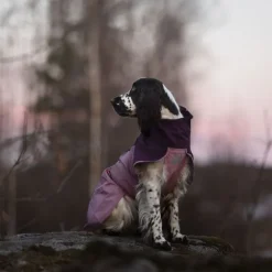 Non-stop dogwear Fjord 2.0 koiran sadetakki, mauve