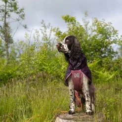 Non-stop dogwear Fjord 2.0 koiran sadetakki, mauve