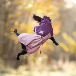 Non-stop dogwear Fjord 2.0 koiran sadetakki, mauve