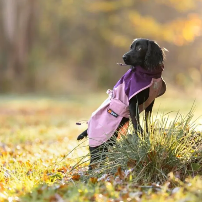 Non-stop dogwear Fjord 2.0 koiran sadetakki, mauve