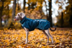 Non-stop dogwear Fjord lined raincoat koiran sadetakki, dark teal
