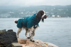 Non-stop dogwear Fjord lined raincoat koiran sadetakki, dark teal