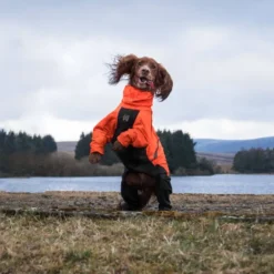 Non-stop dogwear Fjord overall koiran sadehaalari, oranssi