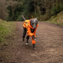 Non-stop dogwear Fjord overall koiran sadehaalari, oranssi