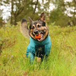 Non-stop dogwear Fjord overall koiran sadehaalari petrooli