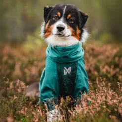 Non-stop dogwear Fjord overall koiran sadehaalari petrooli