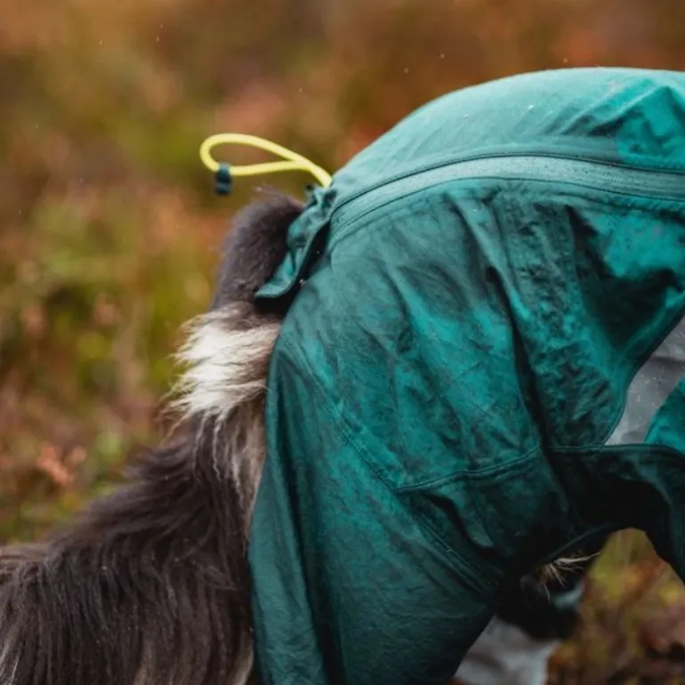 Non-stop dogwear Fjord overall koiran sadehaalari petrooli