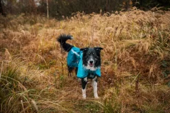 Non-stop dogwear Fjord raincoat 2.0 koiran sadetakki, teal