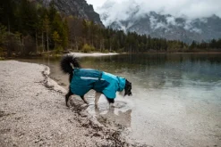Non-stop dogwear Fjord raincoat 2.0 koiran sadetakki, teal