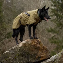 Non-stop dogwear Fjord WD koiran sadetakki, oliivi