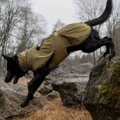 Non-stop dogwear Fjord WD koiran sadetakki, oliivi