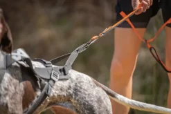 Non-stop dogwear Freemotion harness pro vetovaljas