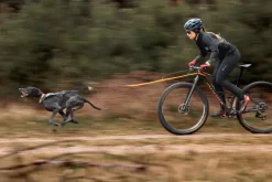 Non-stop dogwear Freemotion harness pro vetovaljas