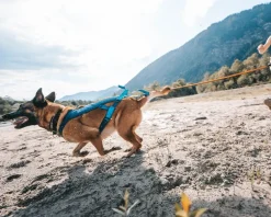 Non-stop dogwear Freemotion 5.0 vetovaljas, teal