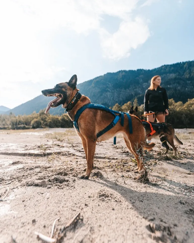 Non-stop dogwear Freemotion 5.0 vetovaljas, teal