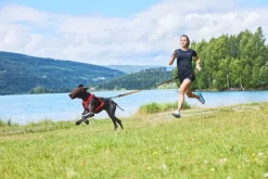 Non-stop dogwear Freemotion 5.0 vetovaljas, teal