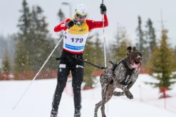 Non-Stop dogwear Freemotion vetovaljas