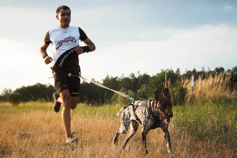Non-Stop dogwear Freemotion vetovaljas