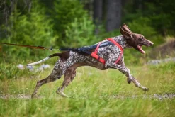 Non-stop dogwear Freemotion 5.0 vetovaljas, pinkki