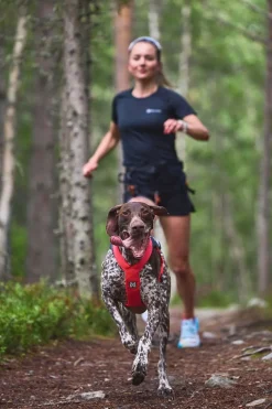 Non-stop dogwear Freemotion 5.0 vetovaljas, pinkki