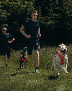 Non-stop dogwear Freemotion 5.0 vetovaljas, pinkki