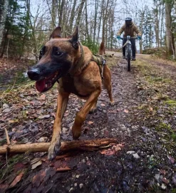 Non-stop dogwear Freemotion WD vetovaljaat koiralle, oliivi