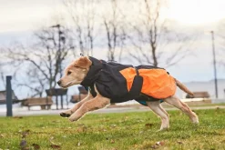 Non-stop dogwear Glacier 2.0 koiran takki, oranssi