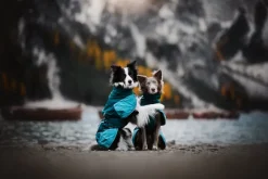 Non-stop dogwear Glacier 3.0 koiran takki, teal