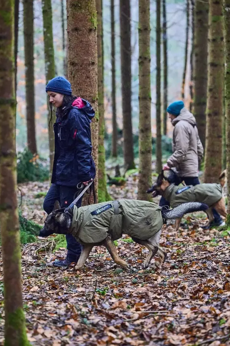 Non-stop dogwear Glacier WD koiran takki
