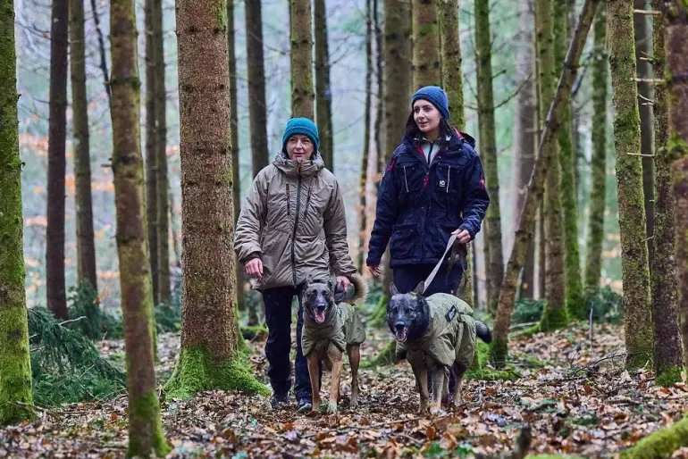Non-stop dogwear Glacier WD koiran takki