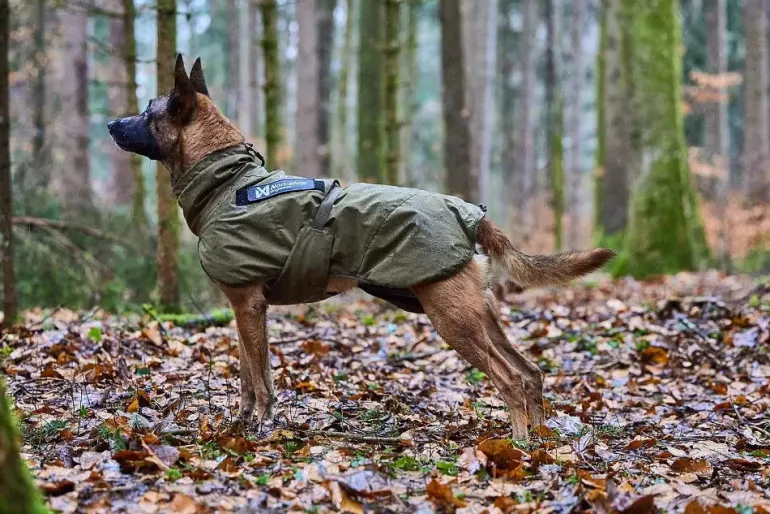 Non-stop dogwear Glacier WD koiran takki