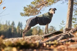 Non-stop dogwear Glacier Wool 2.0 koiran takki, vihreä