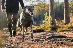 Non-stop dogwear Glacier Wool 2.0 koiran takki, vihreä