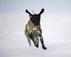 Non-stop dogwear Glacier wool 3.0 koiran takki, vihreä