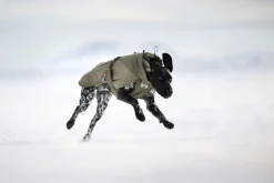 Non-stop dogwear Glacier wool 3.0 koiran takki, vihreä